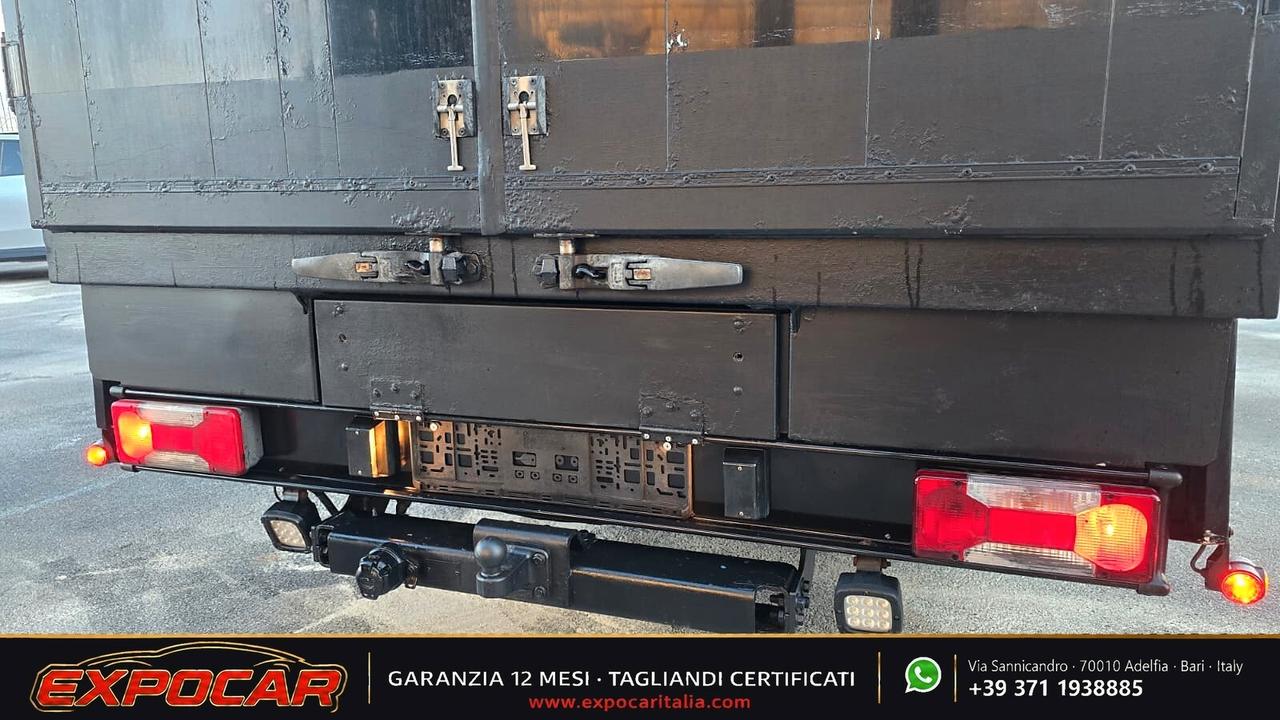 Iveco Daily - Trasporto Cavalli