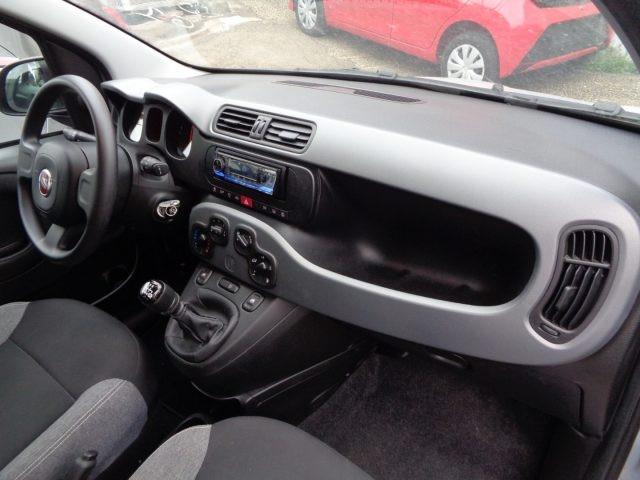 FIAT Panda 1000 HYBRID PANDA 70CV STEREO BLUET ITALIA