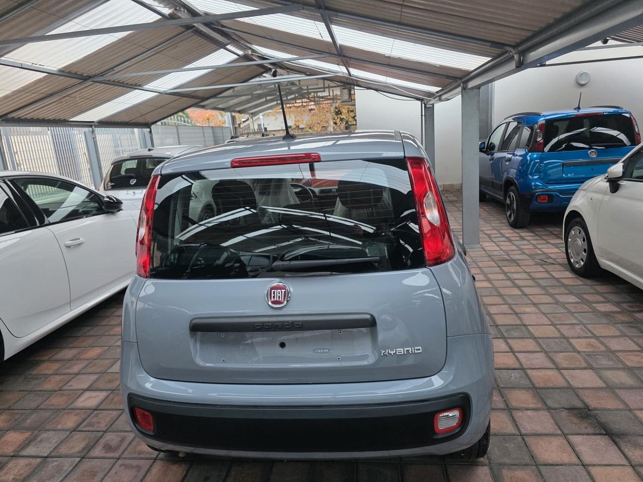 AUTO IN ARRIVO Fiat Panda 1.0 FireFly S&S Hybrid