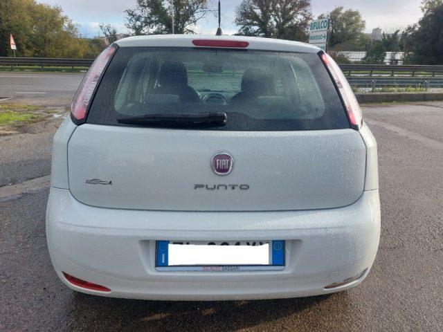 FIAT Punto 1.2 8V 5 porte Lounge