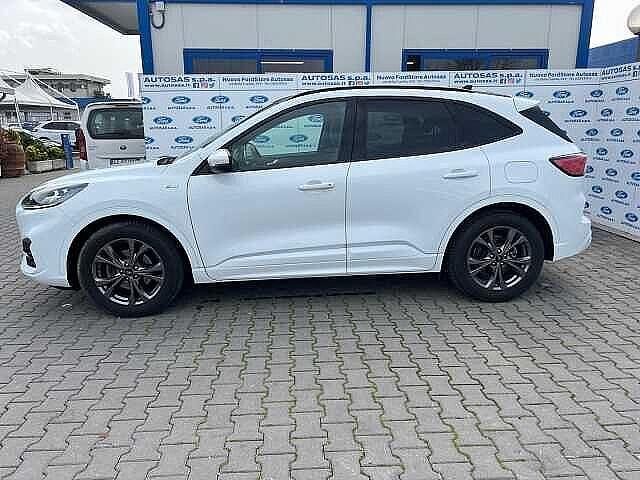 Ford Kuga 1.5 EcoBlue 120 CV 2WD ST-Line X