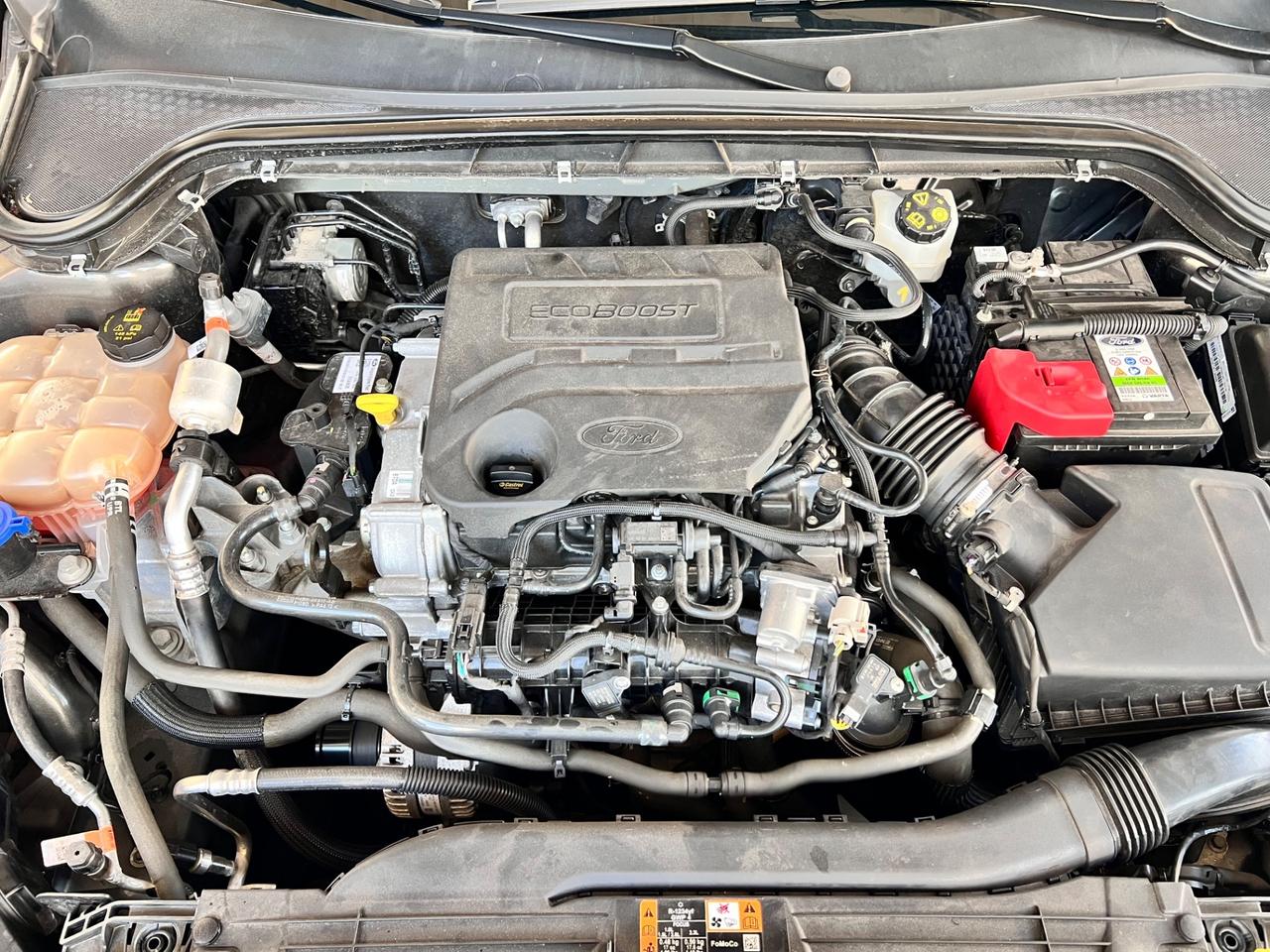 Ford Focus 1.0 EcoBoost 125 CV 5p. ST-Line Co-Pilot