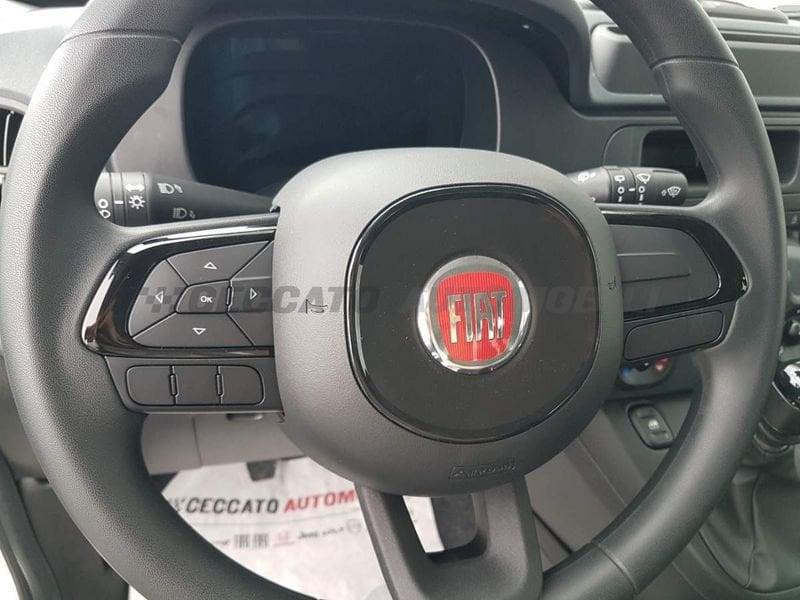 FIAT Panda Panda 1.0 70cv Hybrid Panda