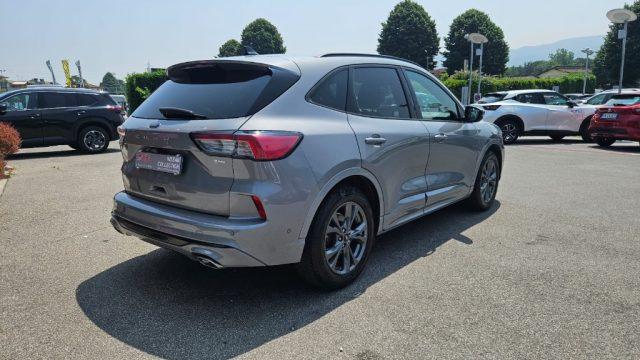 FORD Kuga 1.5 EcoBlue 120 CV aut. 2WD ST-Line X