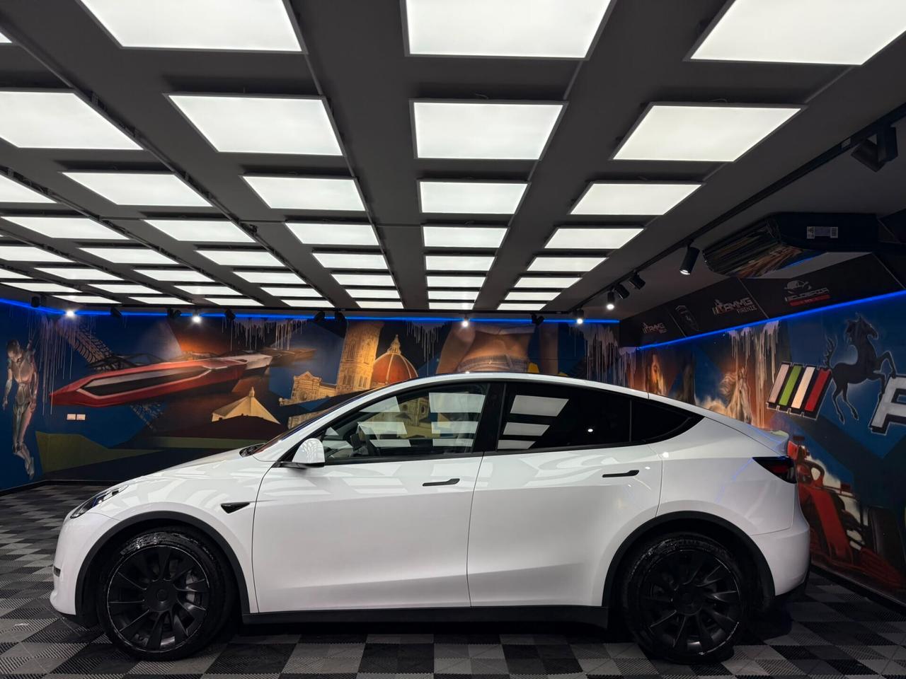 Tesla Model Y Long Range AWD (892)