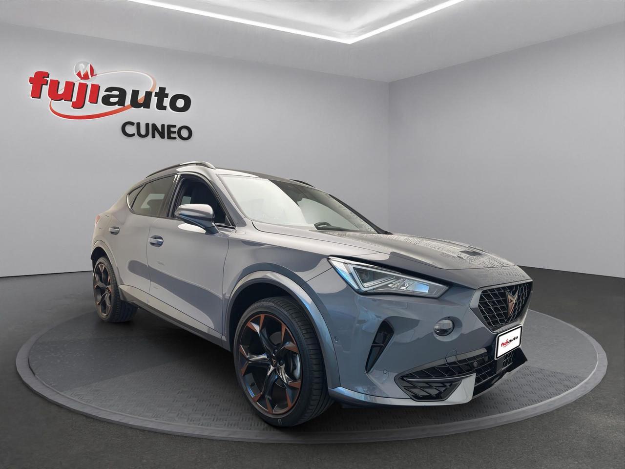 Cupra Formentor 2.0 tsi 4drive 190cv dsg