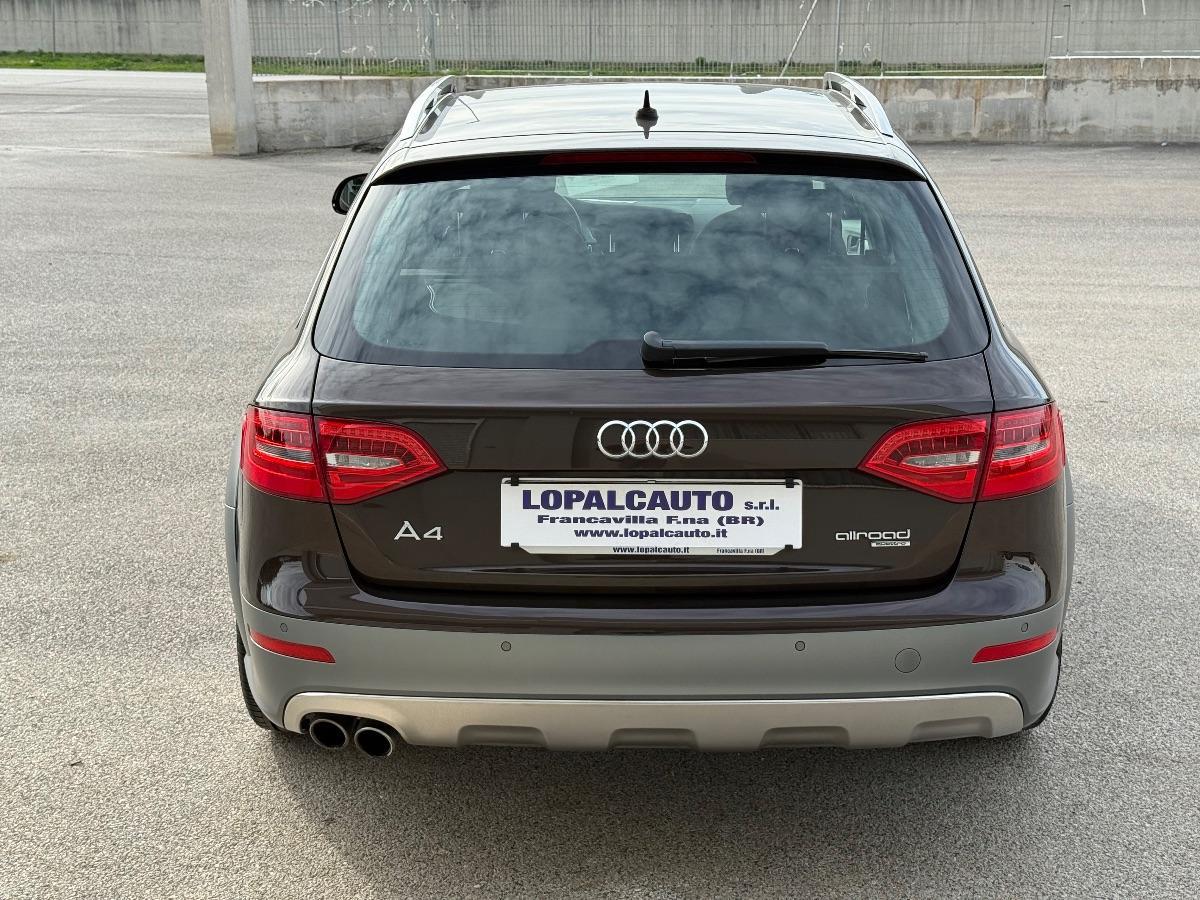 AUDI - A4 Allroad - 2.0 TDI 177 CV S tronic Business