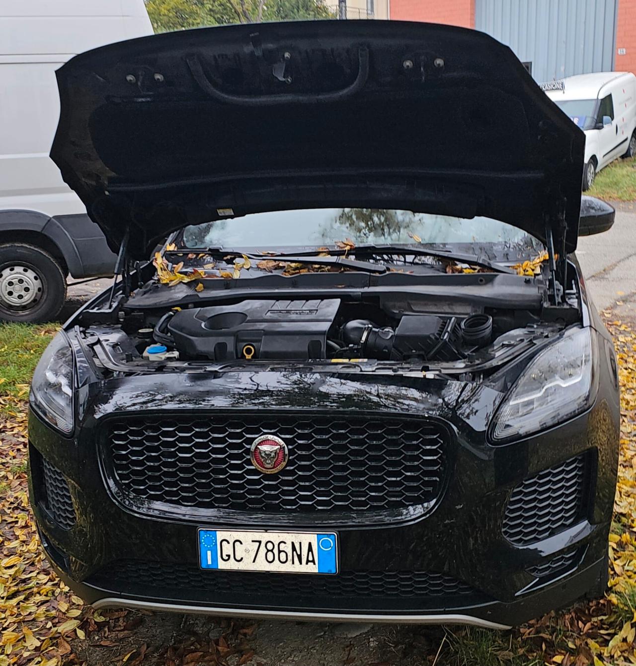 Jaguar E-Pace 2021 R-Dynamic
