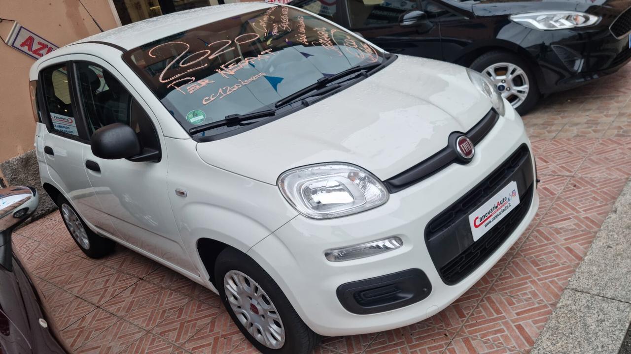 Fiat Panda 1.2 Lounge anno 2020 soli 32000km