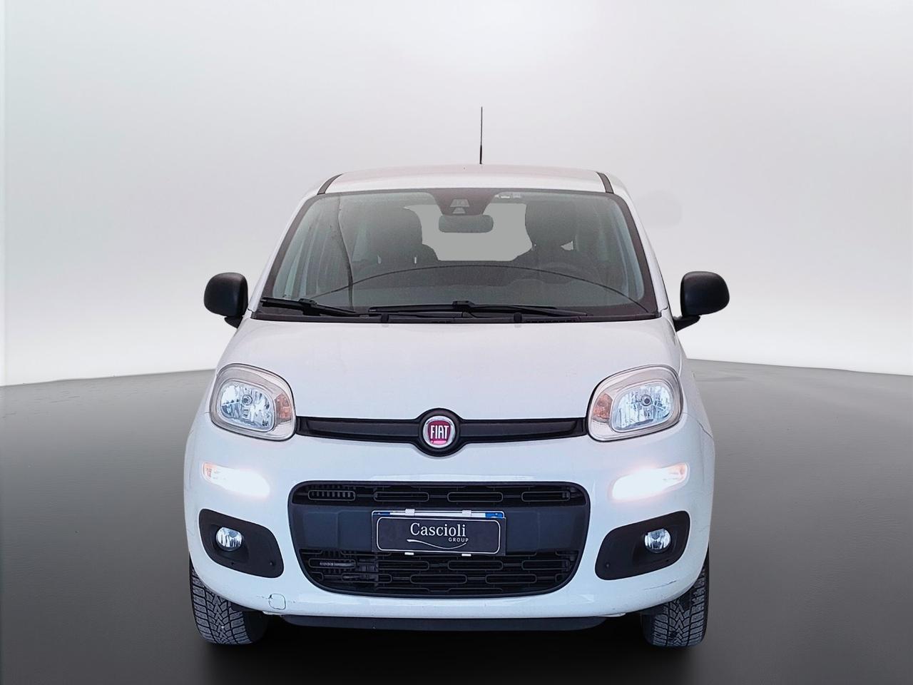 FIAT Panda III 2016 - Panda 0.9 t.air t. natural power Easy 80cv my19