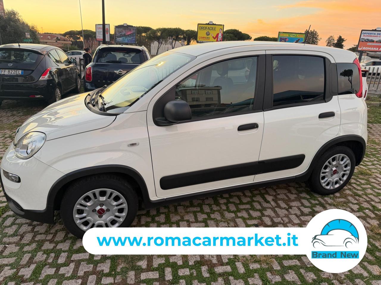 FIAT Panda van 1.0 hybrid Street 70cv 4p.ti serie AUTOCARRO4 E6d