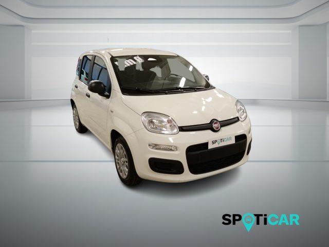 FIAT Panda 1.0 FireFly S&S Hybrid Icon
