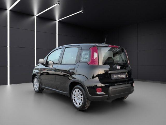 FIAT Panda 1.0 FireFly S&S Hybrid Pandina