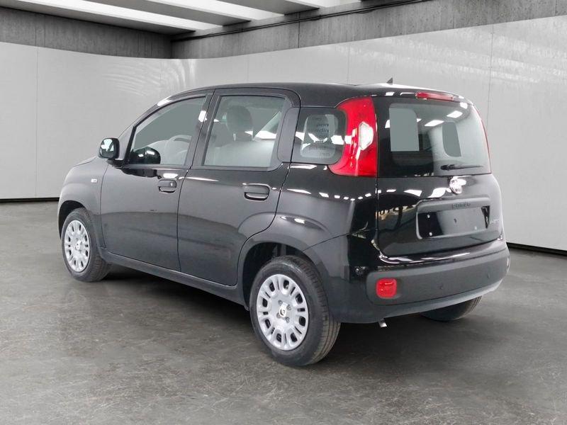 FIAT Pandina 1.0 firefly hybrid Pop s&s 70cv