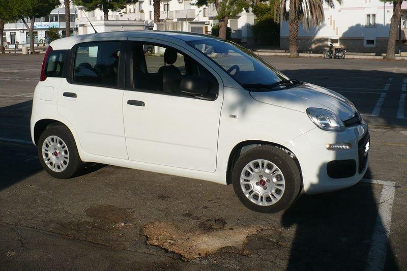 FIAT Panda Panda 1.2 Easy
