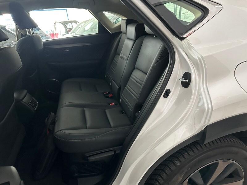 LEXUS NX 1ª serie NX Hybrid 4WD F-Sport