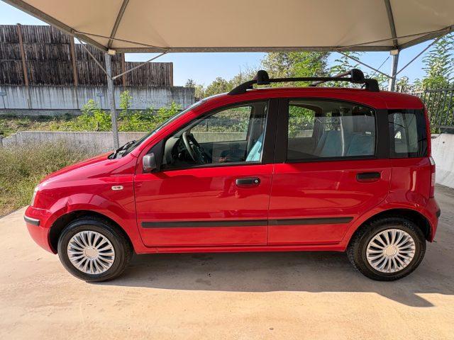 FIAT Panda 1.2 Dynamic OK NEOPATENTATI CON SERVOSTERZO