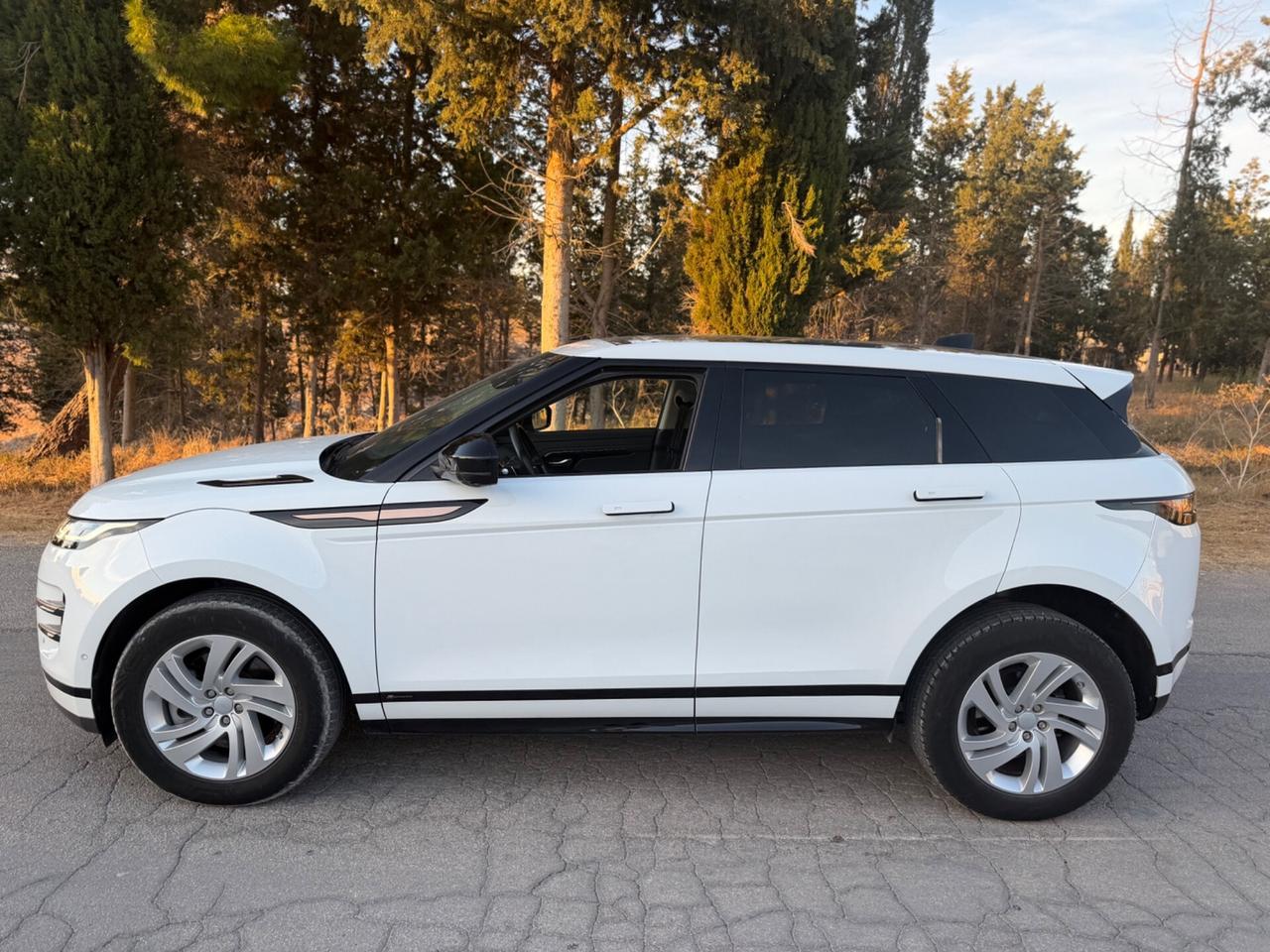 Land Rover Range Evoque 2.0D I4 163 CV AWD Auto R-Dynamic HSE TETTO FULL