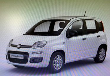 FIAT Panda 1.0 FireFly 70cv S&S Hybrid Icon