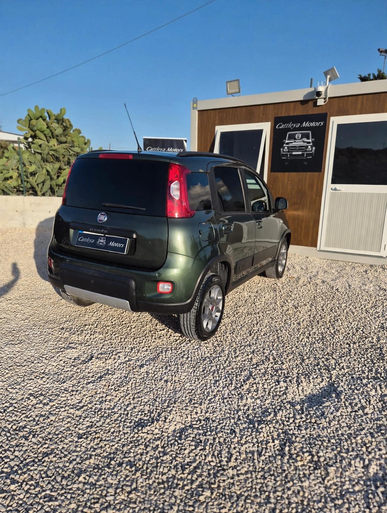 Fiat Panda 1.3 MJT 4x4 van 2 posti
