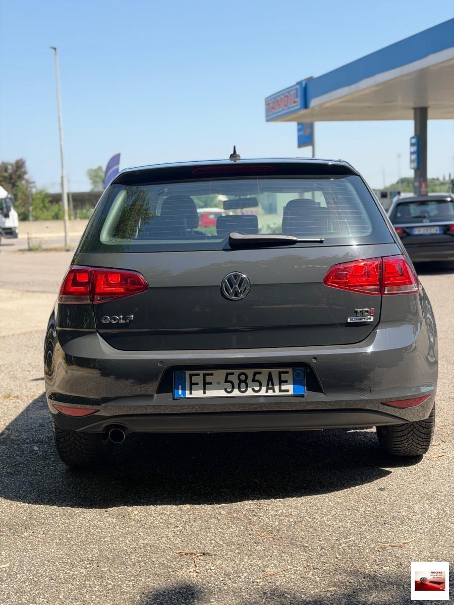 VOLKSWAGEN - Golf - 1.6 TDI 110 CV 5p. Executive BMT
