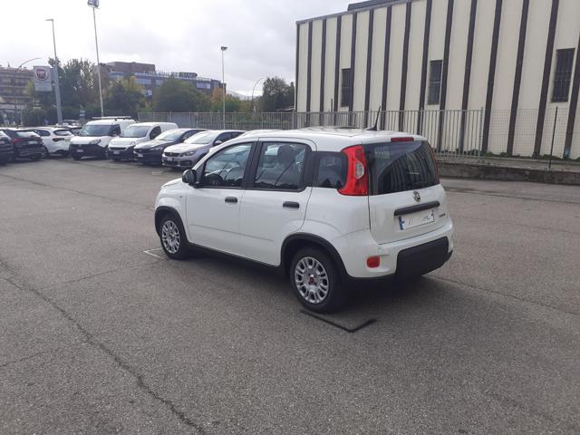 FIAT Panda PROMO FINANZIAMENTO 1.0 FireFly S&S Hybrid