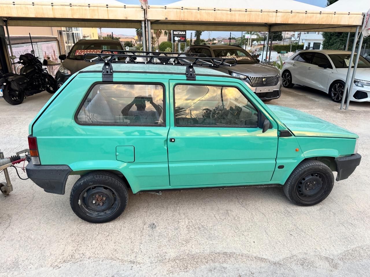 Fiat Panda 1100 i.e. cat Young