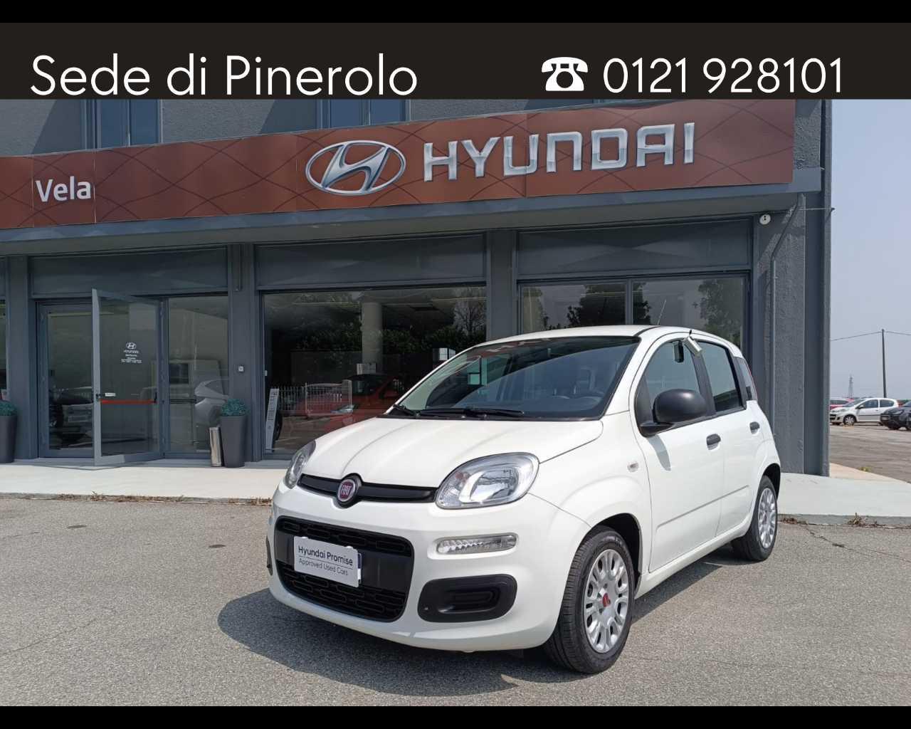 FIAT Panda III 2021 - Panda 1.0 firefly hybrid s&s 70cv