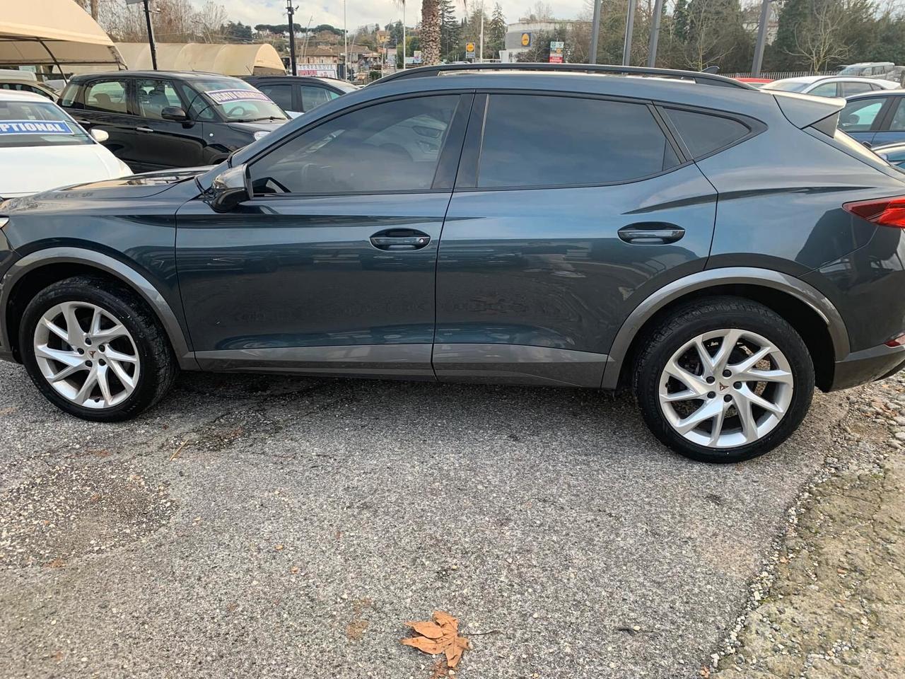 Cupra Formentor 2.0 TDI 4Drive DSG