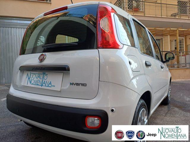 FIAT Panda Pandina 1.0 FireFly S&S Hybrid Pop Km0