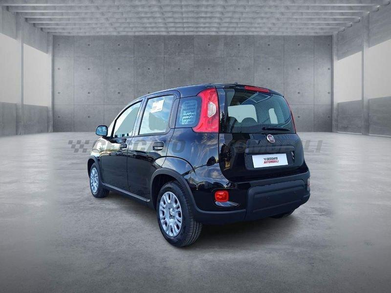 FIAT Panda Panda 1.0 70cv Hybrid Panda