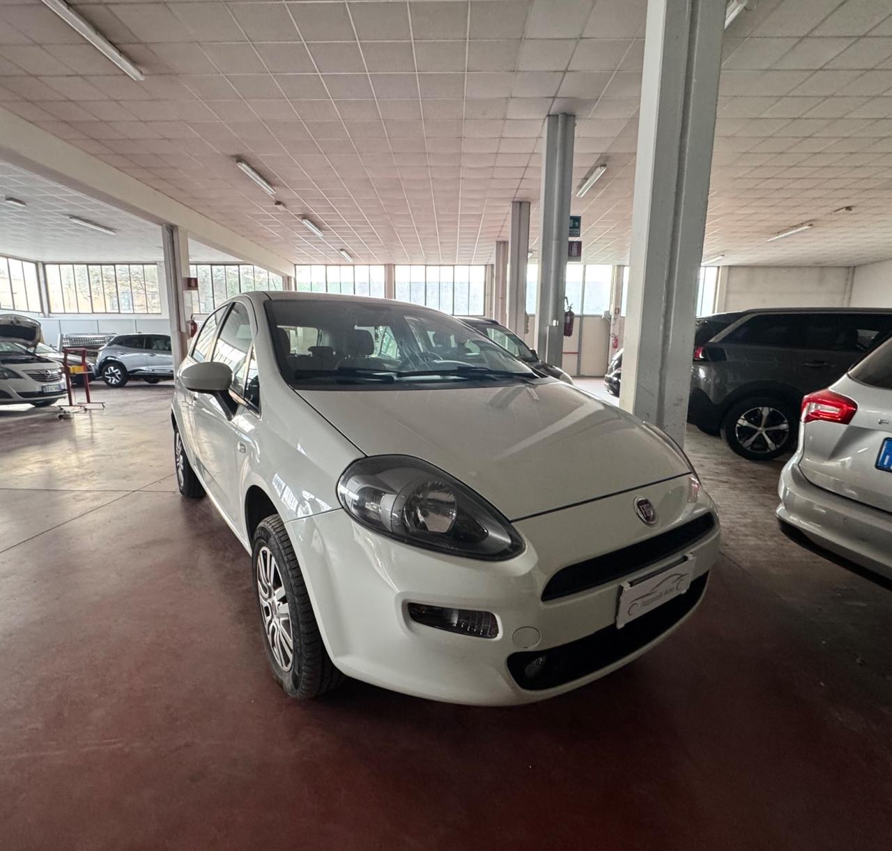 Fiat Punto 1.4 8V 5 porte Natural Power Lounge