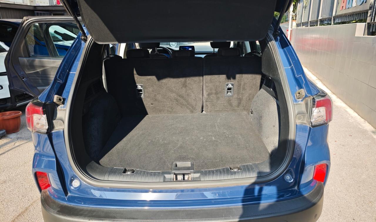 Perfetta Ford Kuga 1.5 EcoBlue 120 CV 2WD Titanium