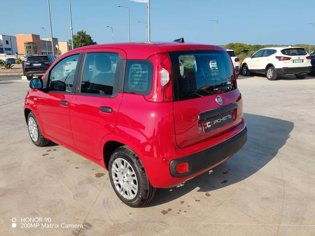 Fiat Pandina 1.0 firefly hybrid Icon s&s 65cv 5p.ti