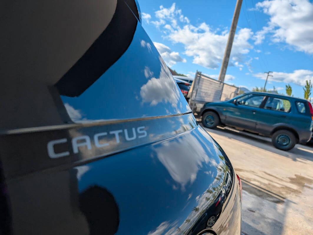 Citroen C4 Cactus 1.5 bluehdi Shine s&s 100cv