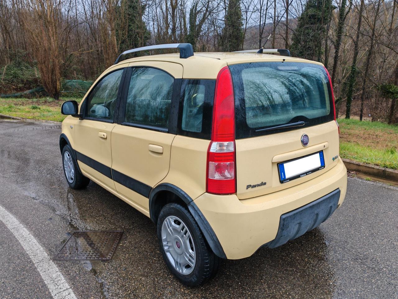 Fiat Panda 1.4 Dynamic Incidentata