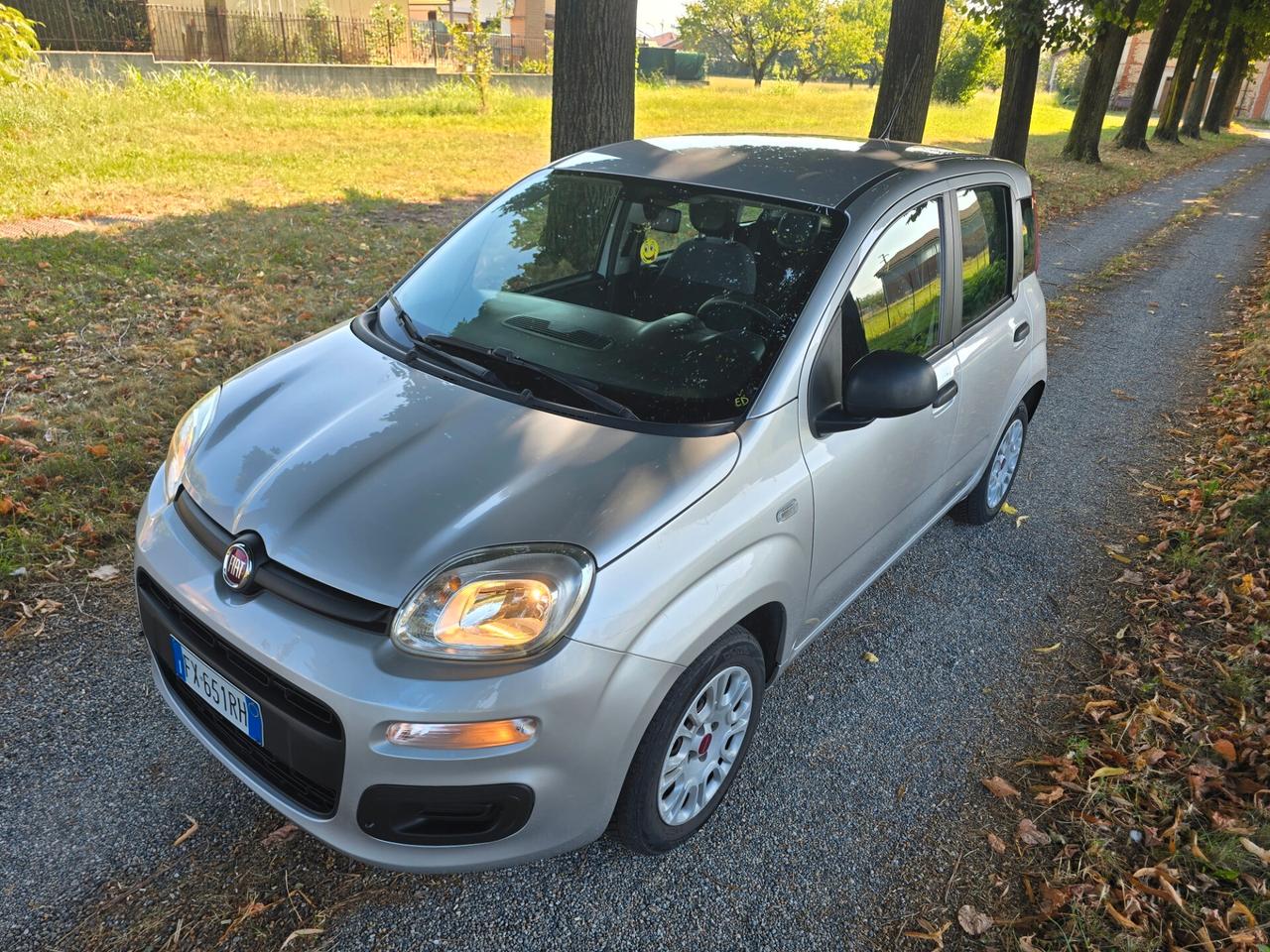 Fiat Panda 1.2 5 posti Senza Vincoli Finanziari