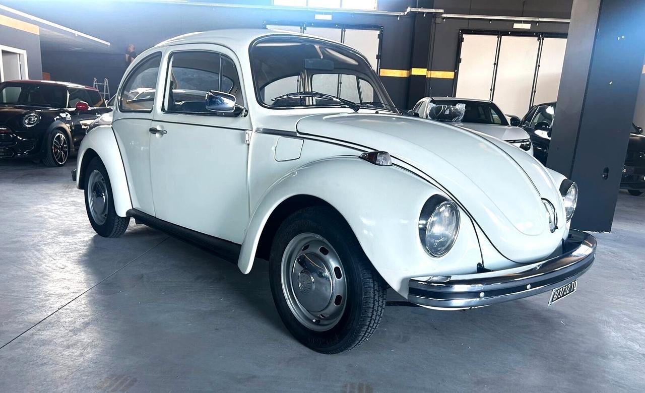 Volkswagen Maggiolino