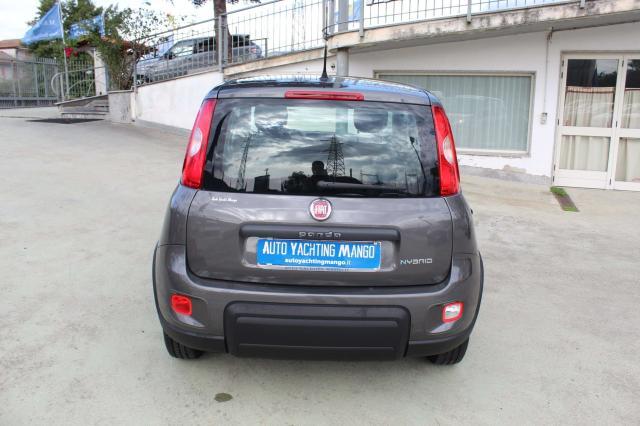 Fiat Panda 1.0 hybrid Easy Garanzia Fiat