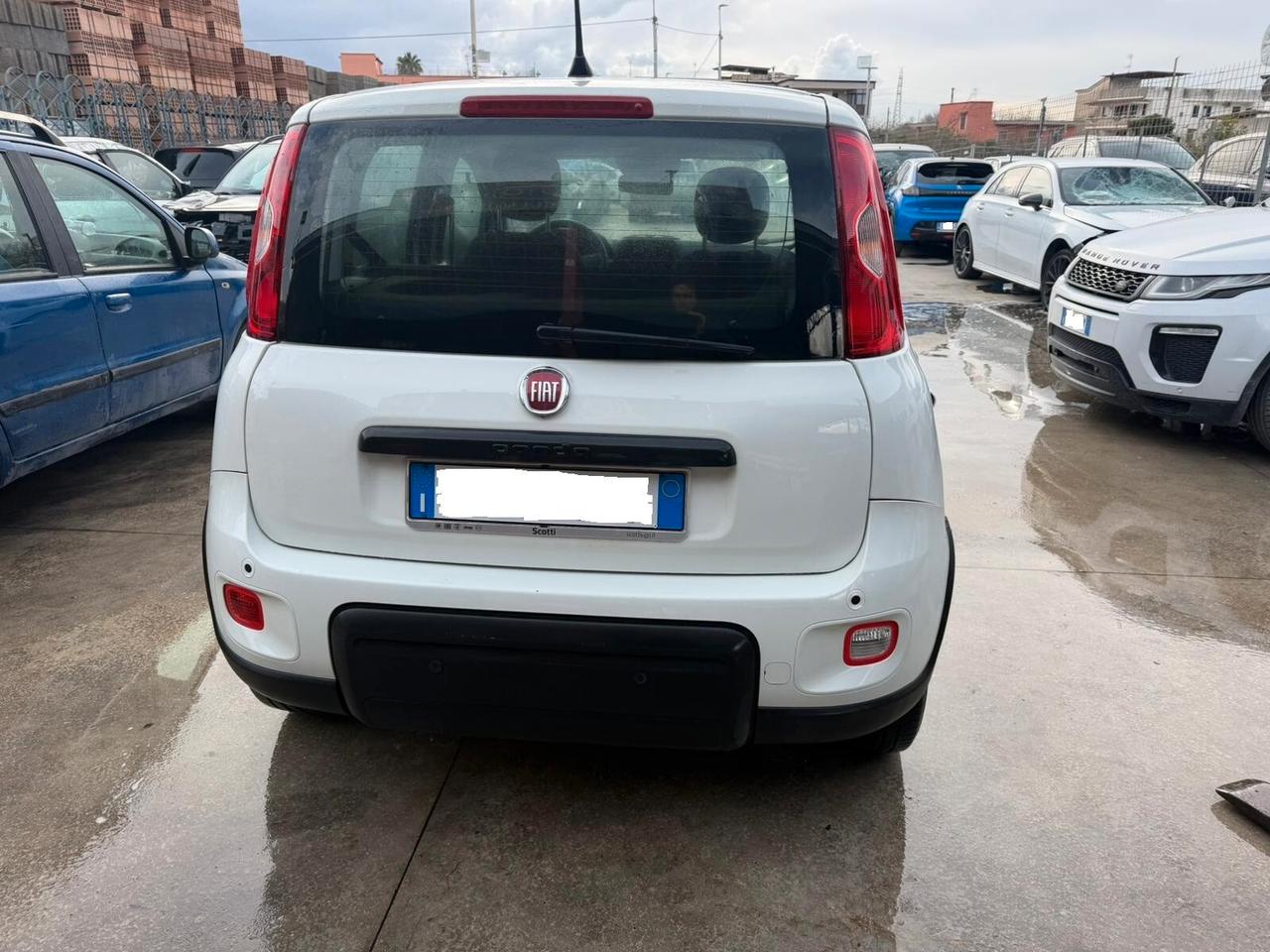 Fiat Panda 1.0 Pandina - 2024