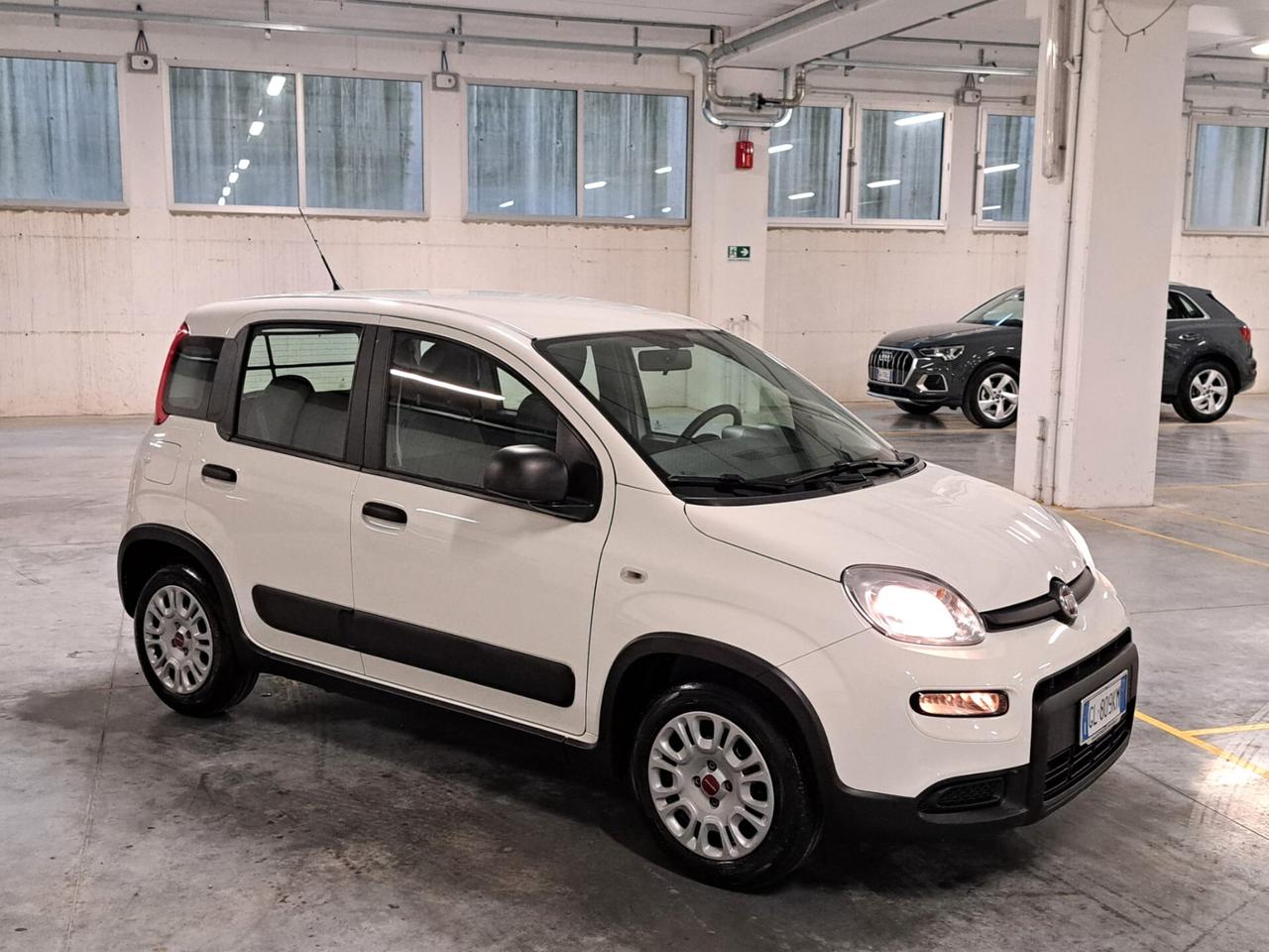 Fiat Panda 1.0 FireFly Hybrid Street N1 Autocarro 4 Posti