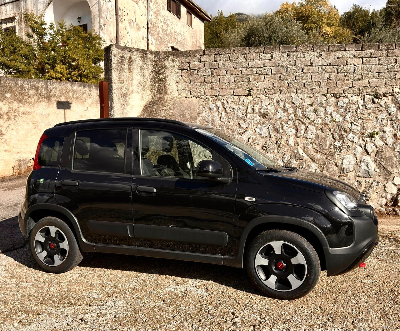 Fiat Panda Cross 1.0 FireFly S&S Hybrid