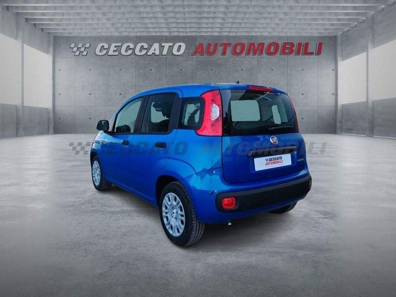 FIAT Pandina Pandina 1.0 65cv Hybrid Pop