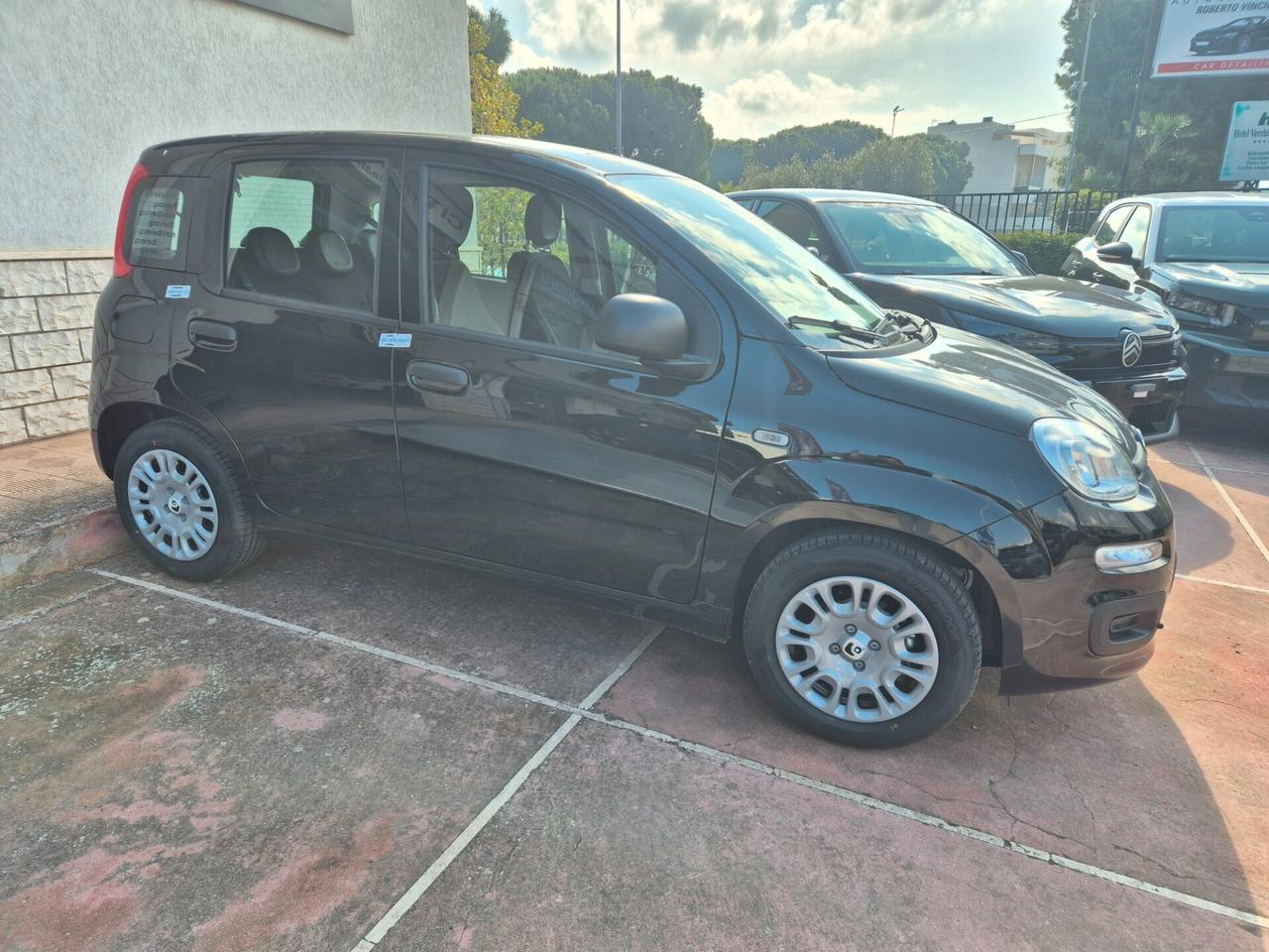 Fiat Panda Pandina 1.0 FireFly 65 CV Hybrid Pop