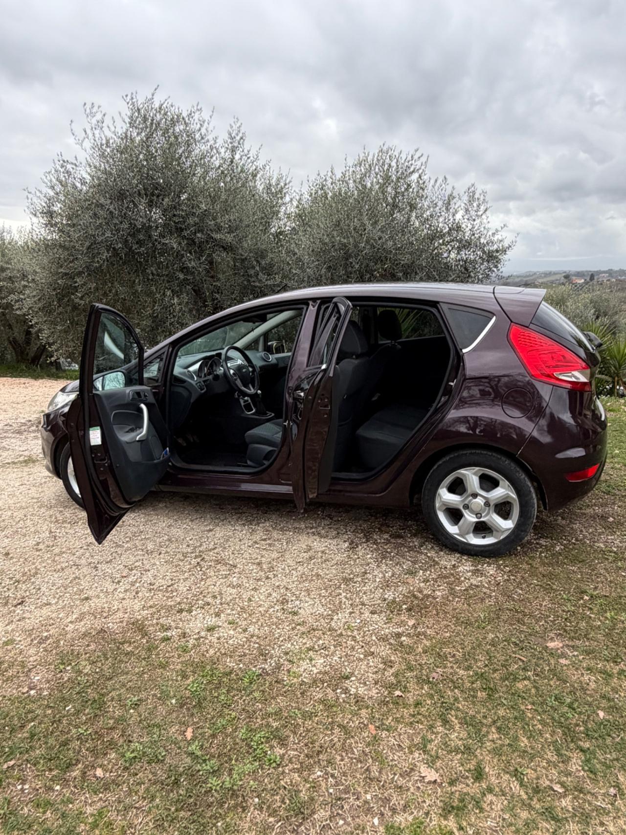 Ford Fiesta 1.4 TDCi 5p. Titanium