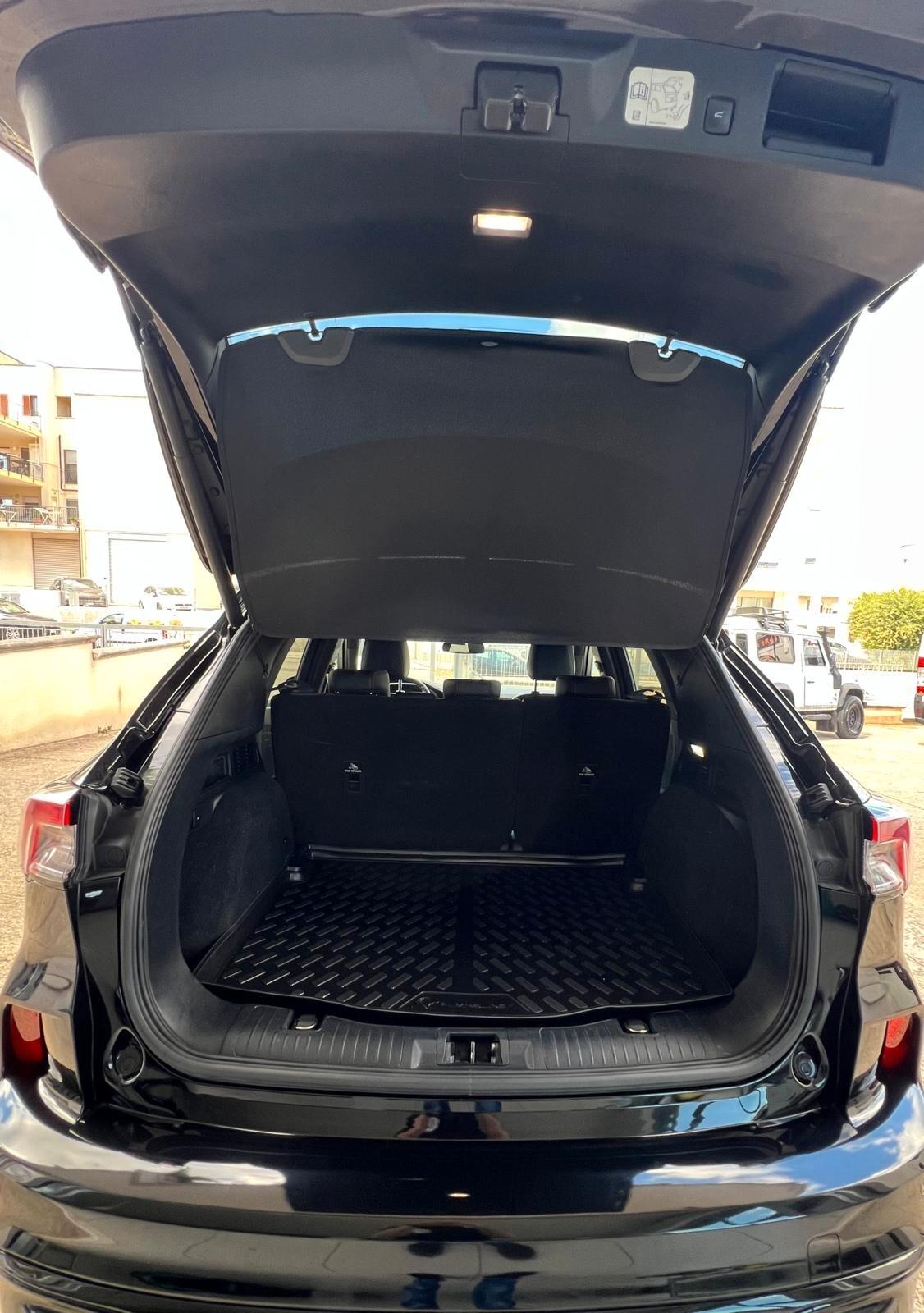 Ford Kuga 2.0 EcoBlue 190 CV aut. AWD ST-Line