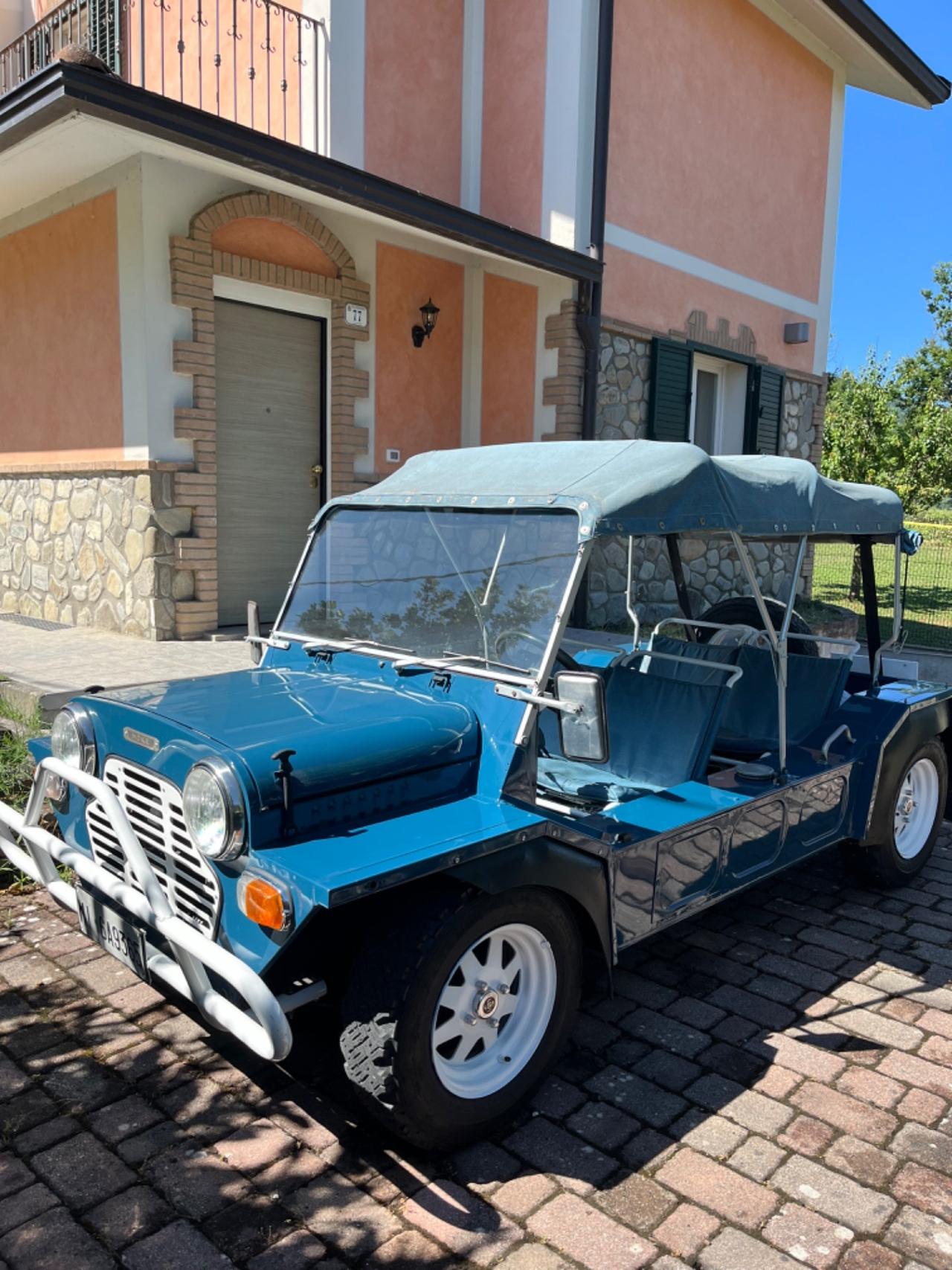 Moke Moke 1.0i cat