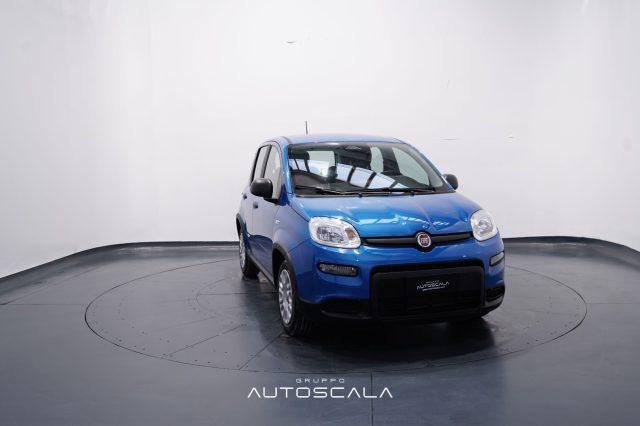 FIAT New Panda My25 1.0 FireFly S&S Hybrid #Pack City #5posto