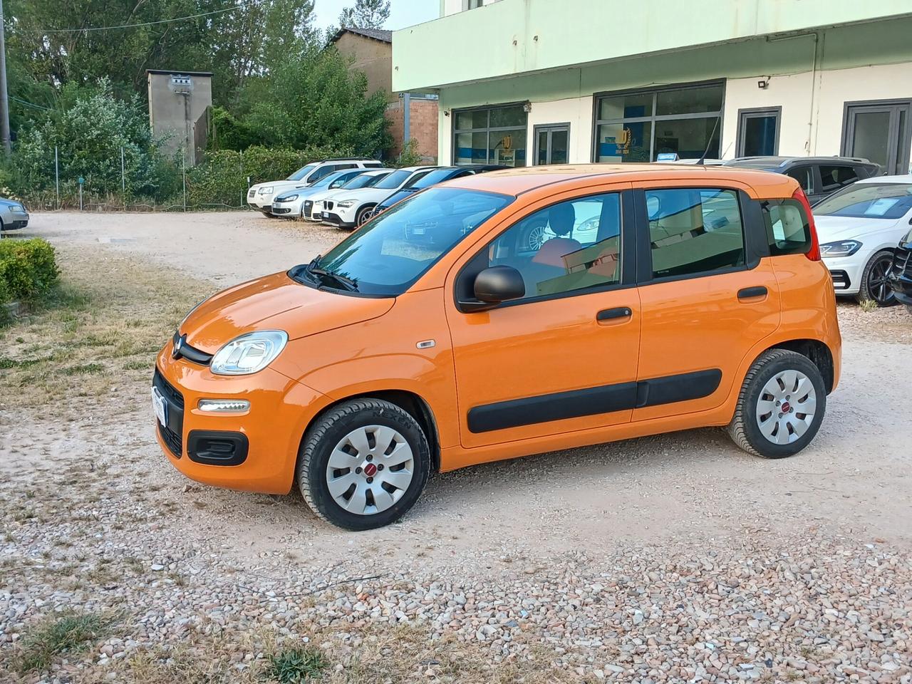 Fiat Panda 1.2 Lounge