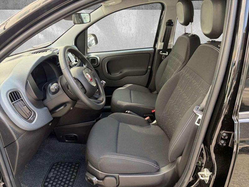 FIAT Pandina 1.0 firefly hybrid Icon s&s 70cv